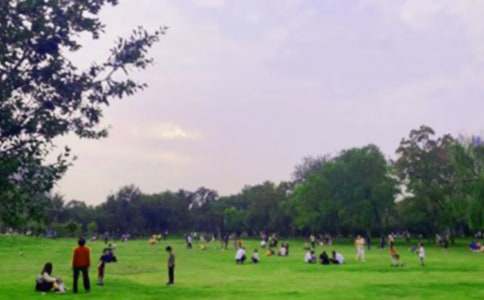 天壇公園優秀作文400字