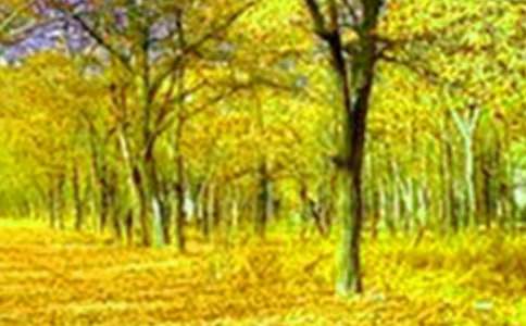 一處美景公園優秀作文