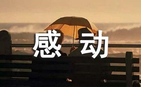 成長中的感動(dòng)作文800字（精選17篇）