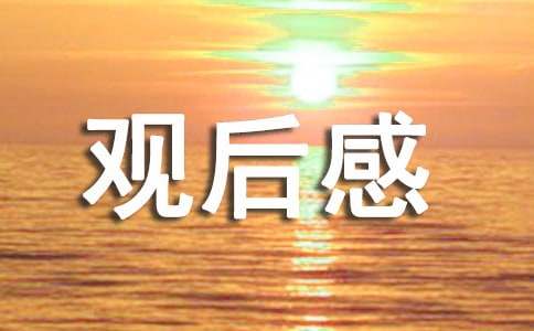 《負負得正》觀后感（通用5篇）