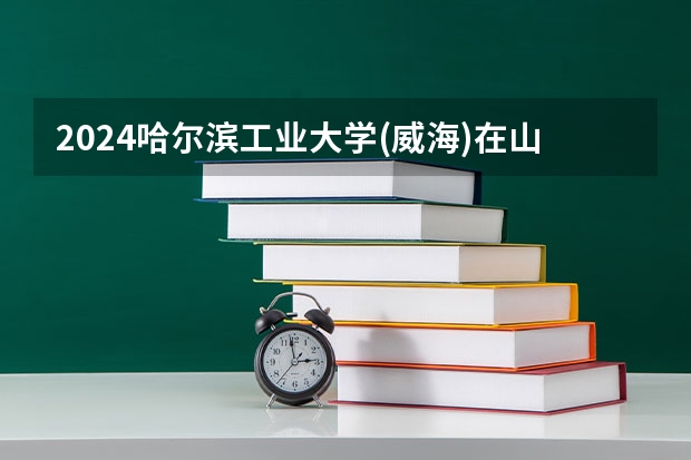 2024哈爾濱工業大學(威海)在山東怎么招生