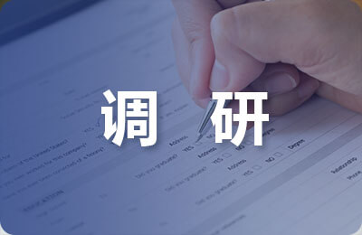 儲能調研報告