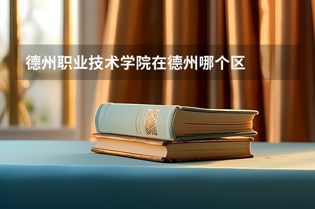 德州職業(yè)技術(shù)學院在德州哪個區(qū)