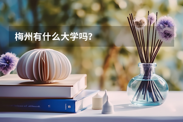 梅州有什么大學(xué)嗎？