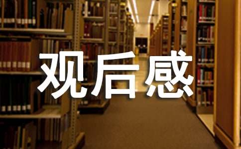 美術館觀后感（精選23篇）