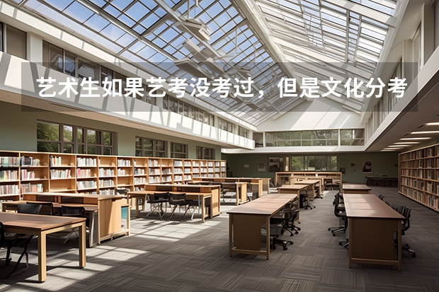 藝術(shù)生如果藝考沒(méi)考過(guò)，但是文化分考得很高可不可以上普通的二本學(xué)校（山東省96年高考錄取分?jǐn)?shù)線）