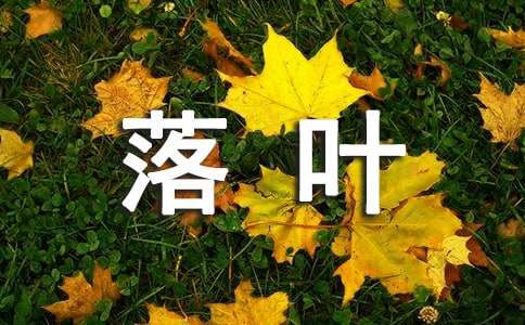 關于落葉的精神優秀作文（精選26篇）