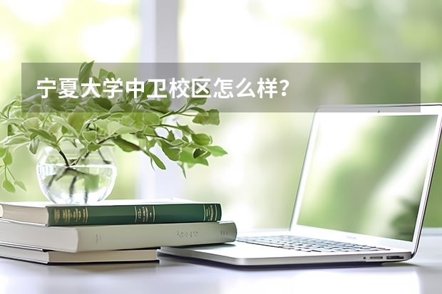 寧夏大學(xué)中衛(wèi)校區(qū)怎么樣？