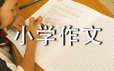 我帶大家游梅州雁南飛小學作文800字