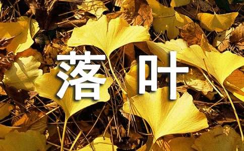 描寫落葉優美段落160段