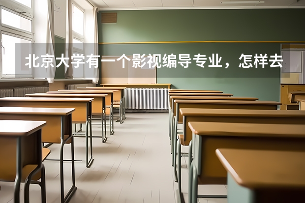 北京大學(xué)有一個影視編導(dǎo)專業(yè)，怎樣去考？和北京電影學(xué)院的考試有什么區(qū)別？