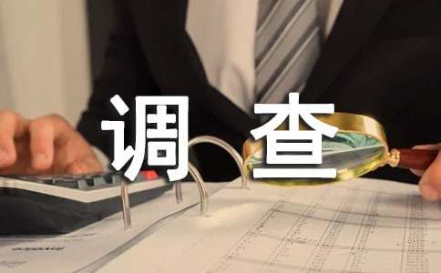 壓歲錢調查報告范例(15篇)