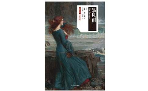 暴風雨的夜晚作文500字（通用17篇）
