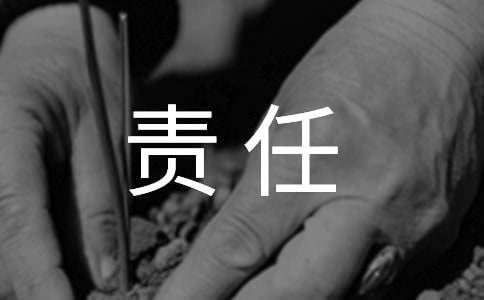責(zé)任擔(dān)當(dāng)作文800字高中