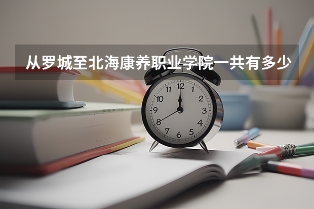從羅城至北海康養職業學院一共有多少公里?