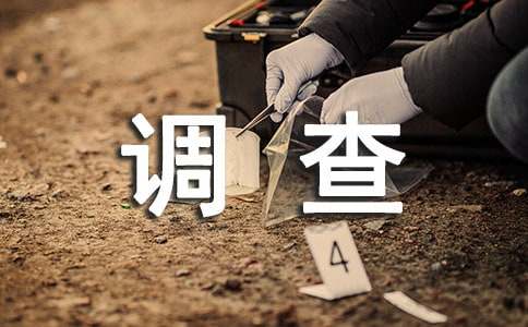 大學生的調查報告最新