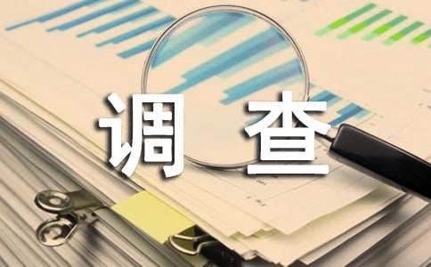 四年級社會調查報告