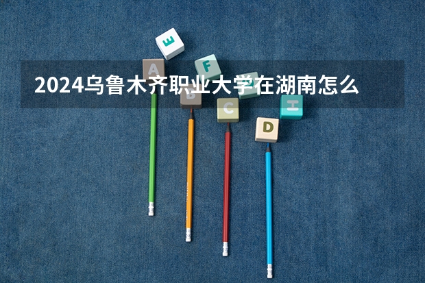 2024烏魯木齊職業(yè)大學在湖南怎么招生的