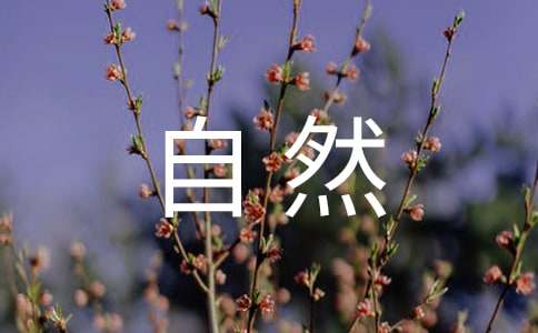 (經(jīng)典)感受自然作文