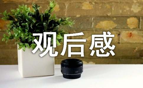 交通安全宣傳觀后感500字（通用18篇）