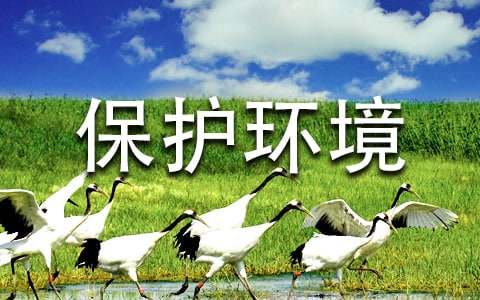 精選建議保護環境的建議書20篇