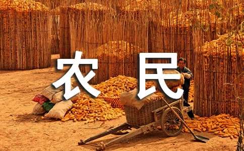 農民工調查報告(17篇)