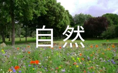 自然風光的經典諺語260句