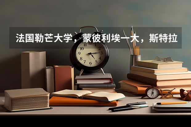 法國勒芒大學，蒙彼利埃一大，斯特拉斯堡大學，貝桑松大學的經濟類專業如何？