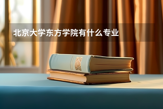 北京大學東方學院有什么專業