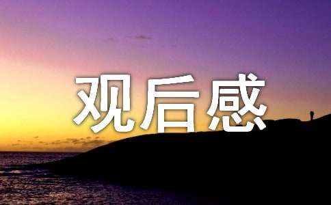 《首席執行官》觀后感作文范文800字