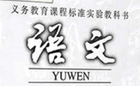 《中國石拱橋》語文教學反思(5篇)
