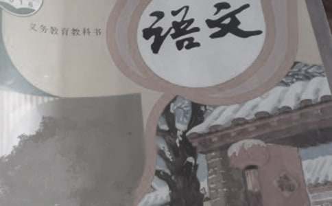 五年級(jí)下冊(cè)語文軍神教學(xué)反思