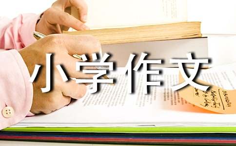我喜歡的小動物小學(xué)作文