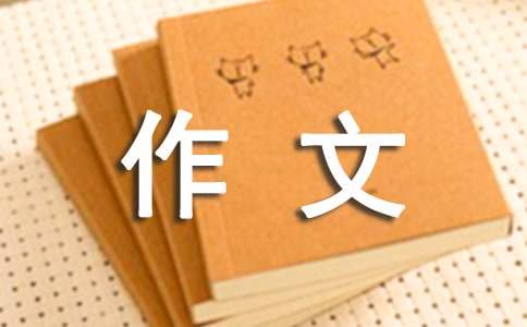 以一次體驗(yàn)活動(dòng)為話題的作文
