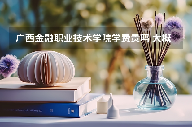 廣西金融職業技術學院學費貴嗎 大概招生多少人