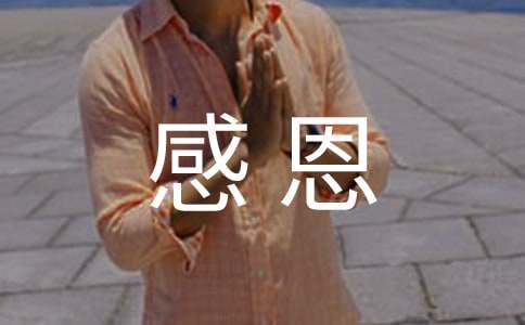 有關感恩高中作文300字匯編4篇