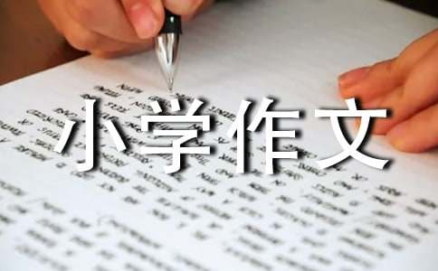 假文盲小學作文15篇（優選）
