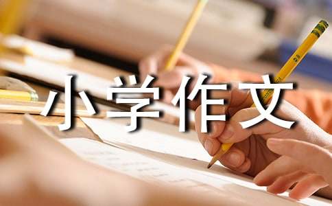 夸夸自己小學(xué)作文