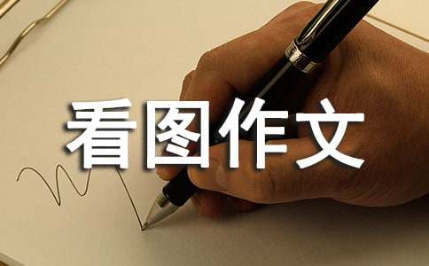 優秀看圖作文精華15篇