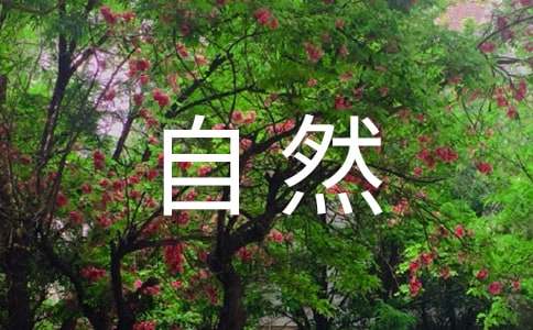 關于寫一處自然景觀作文