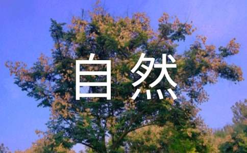 【熱】大自然給人類的啟示作文7篇