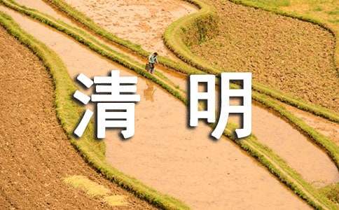 小學生清明節作文匯總【15篇】